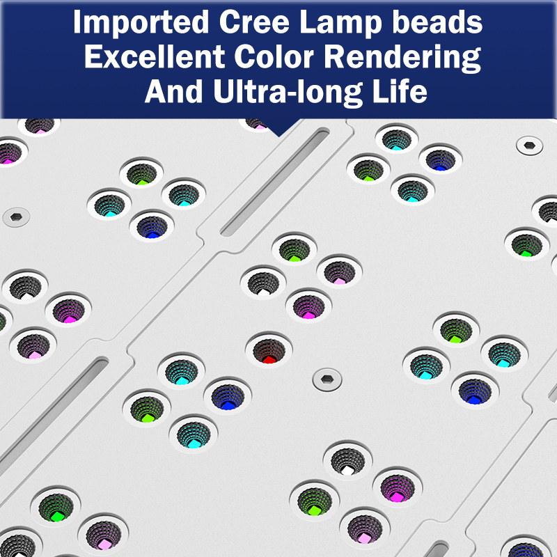 Aquarium & Marine Museum Ums - Hot KASSRAY T169/T215 CREEs LED Full