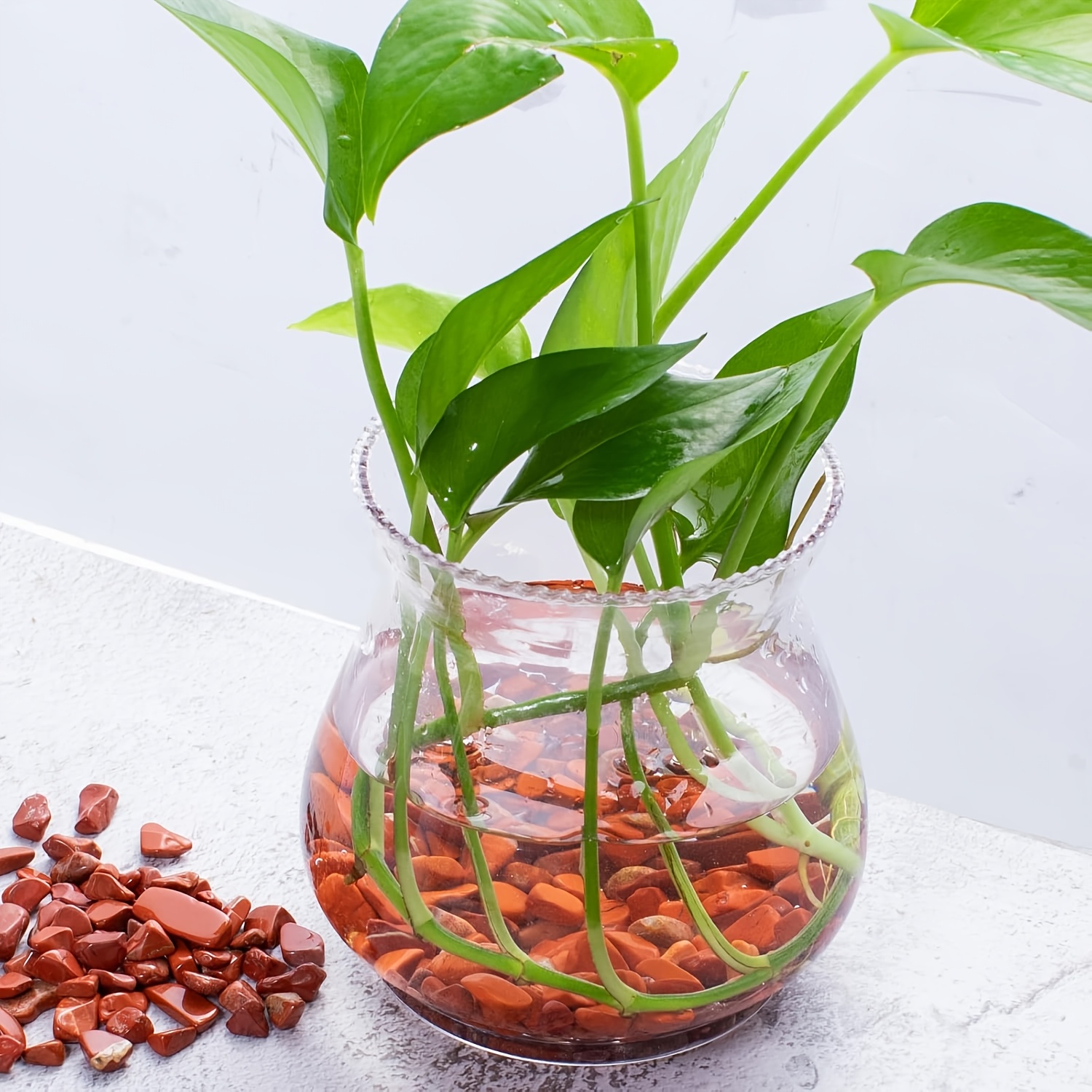 Red jasper tumbled stone -natu - Aquarium Marine Stone reseña y precio