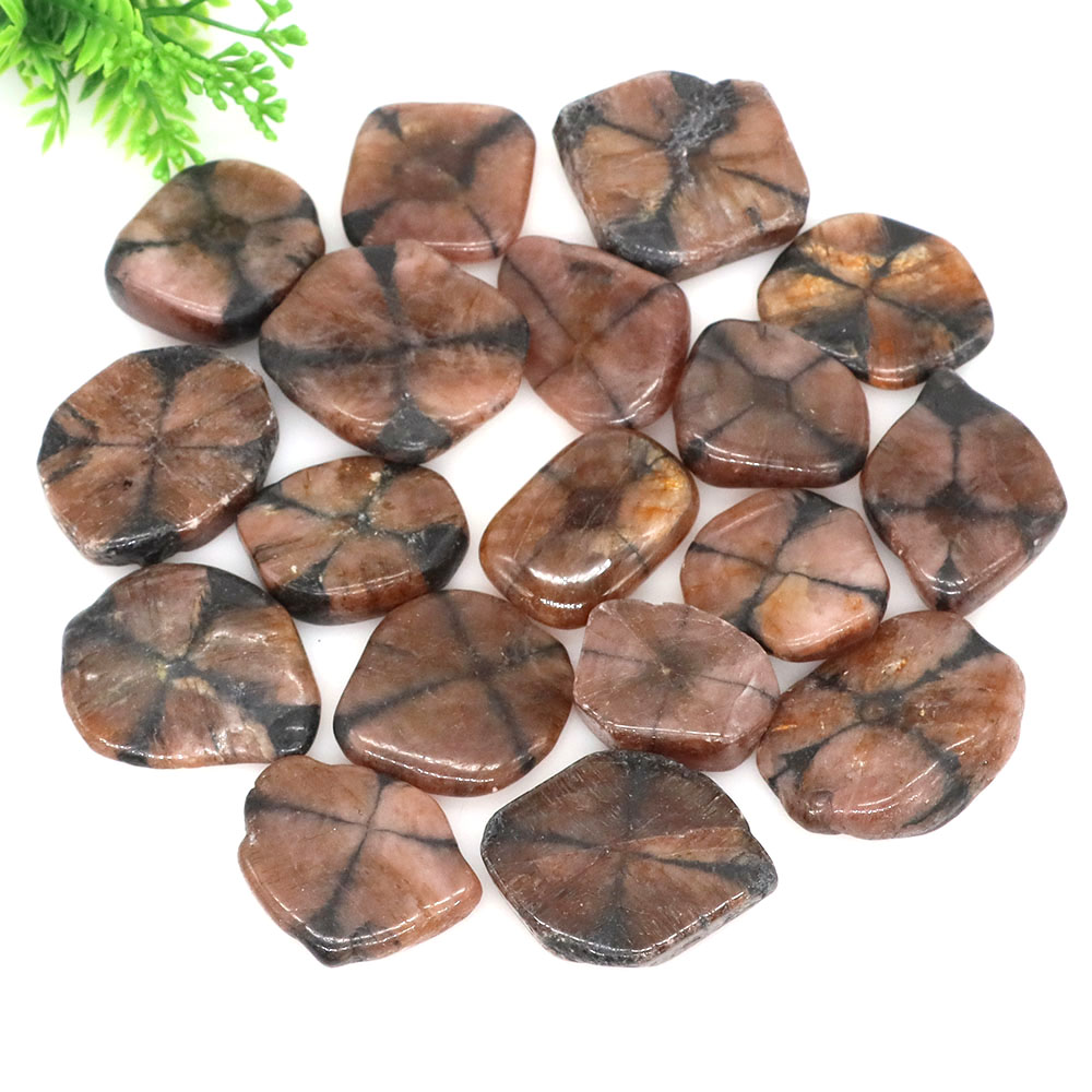 Natural Cross Chiastolite Quar - Aquarium Marine Stone reseña y precio