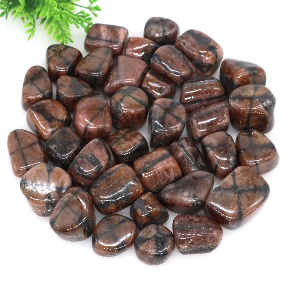 Natural Cross Chiastolite Quar - Aquarium Marine Stone reseña y precio