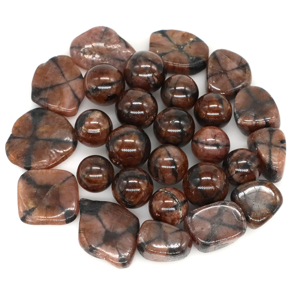 Natural Cross Chiastolite Quar - Aquarium Marine Stone reseña y precio