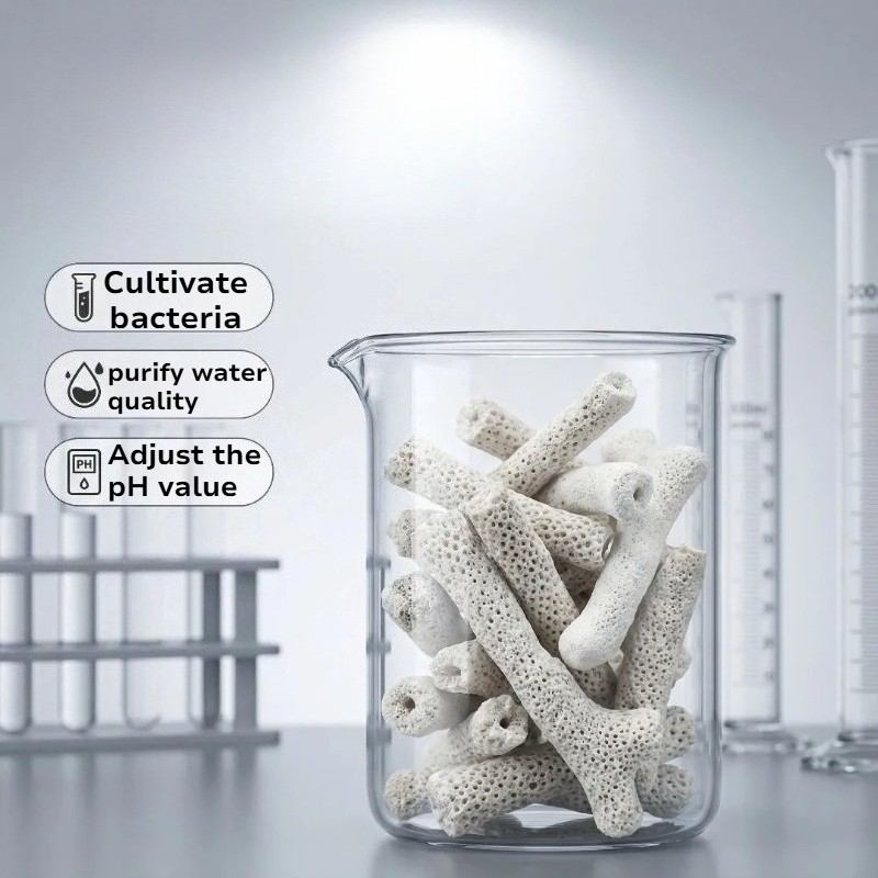 Natural Coral Bone Filter Medi - Calcium Reactor Media reseña y precio