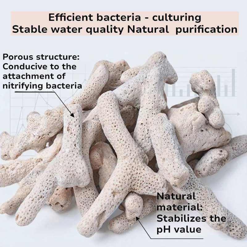 Natural Coral Bone Filter Medi - Calcium Reactor Media reseña y precio