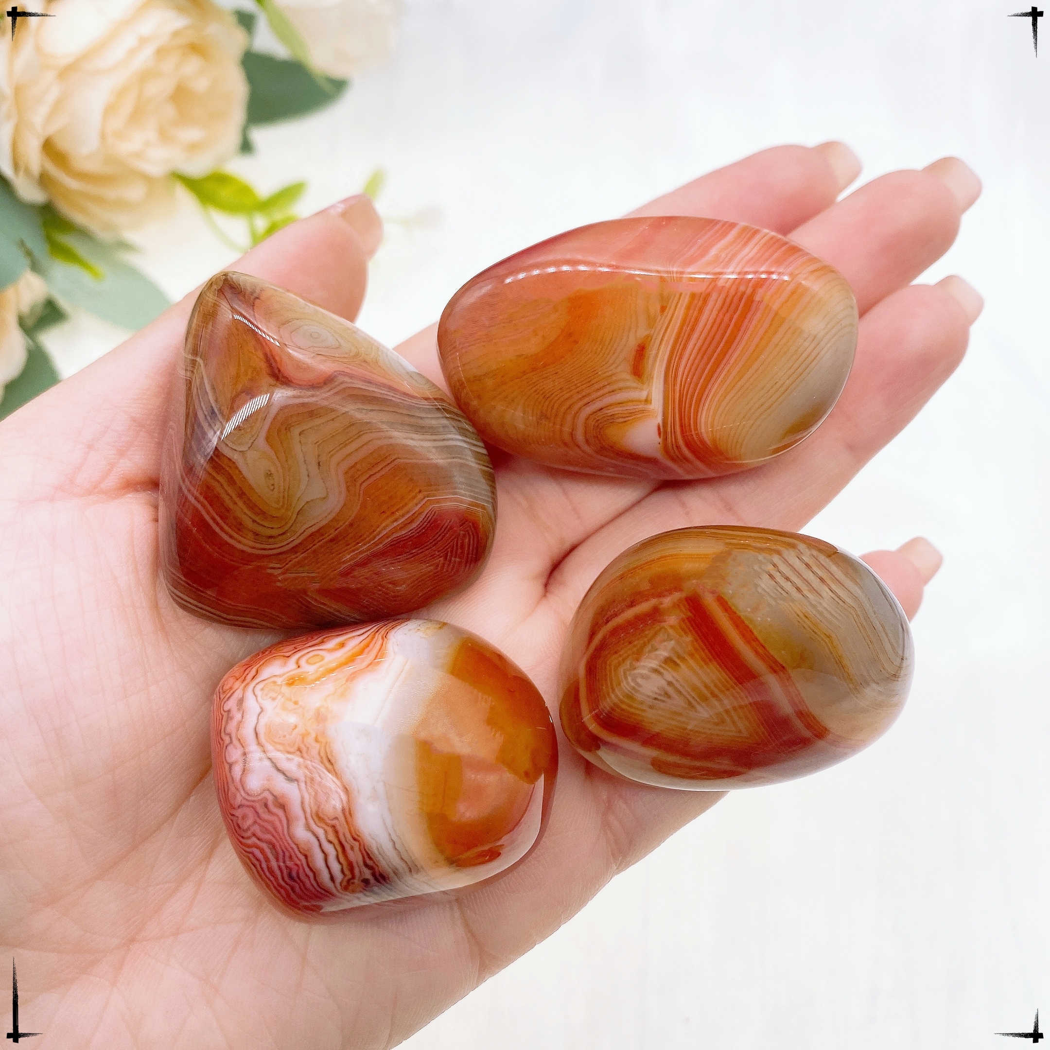 Natural Stones Sardonyx Agate  - Aquarium Marine Stone reseña y precio