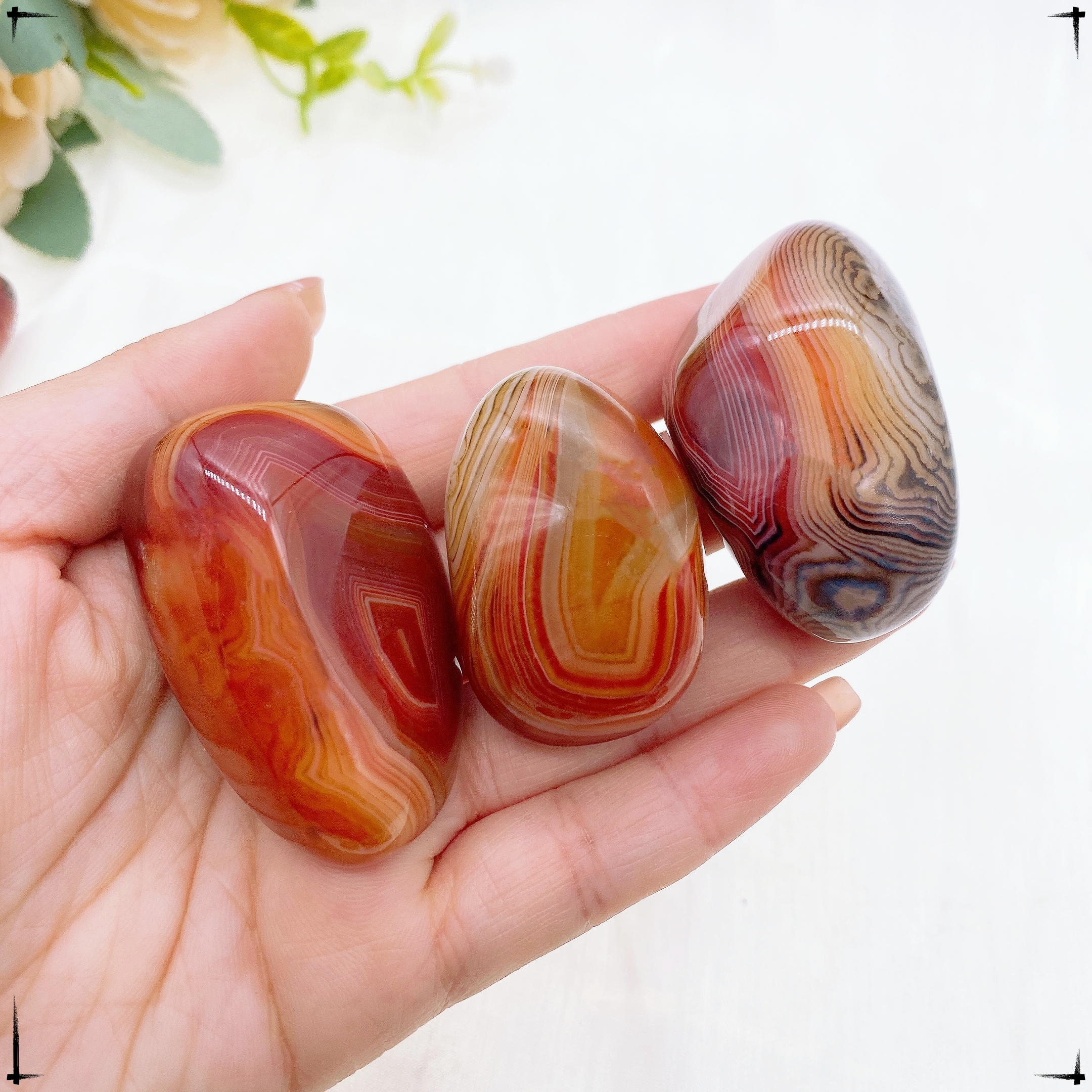 Natural Stones Sardonyx Agate  - Aquarium Marine Stone reseña y precio