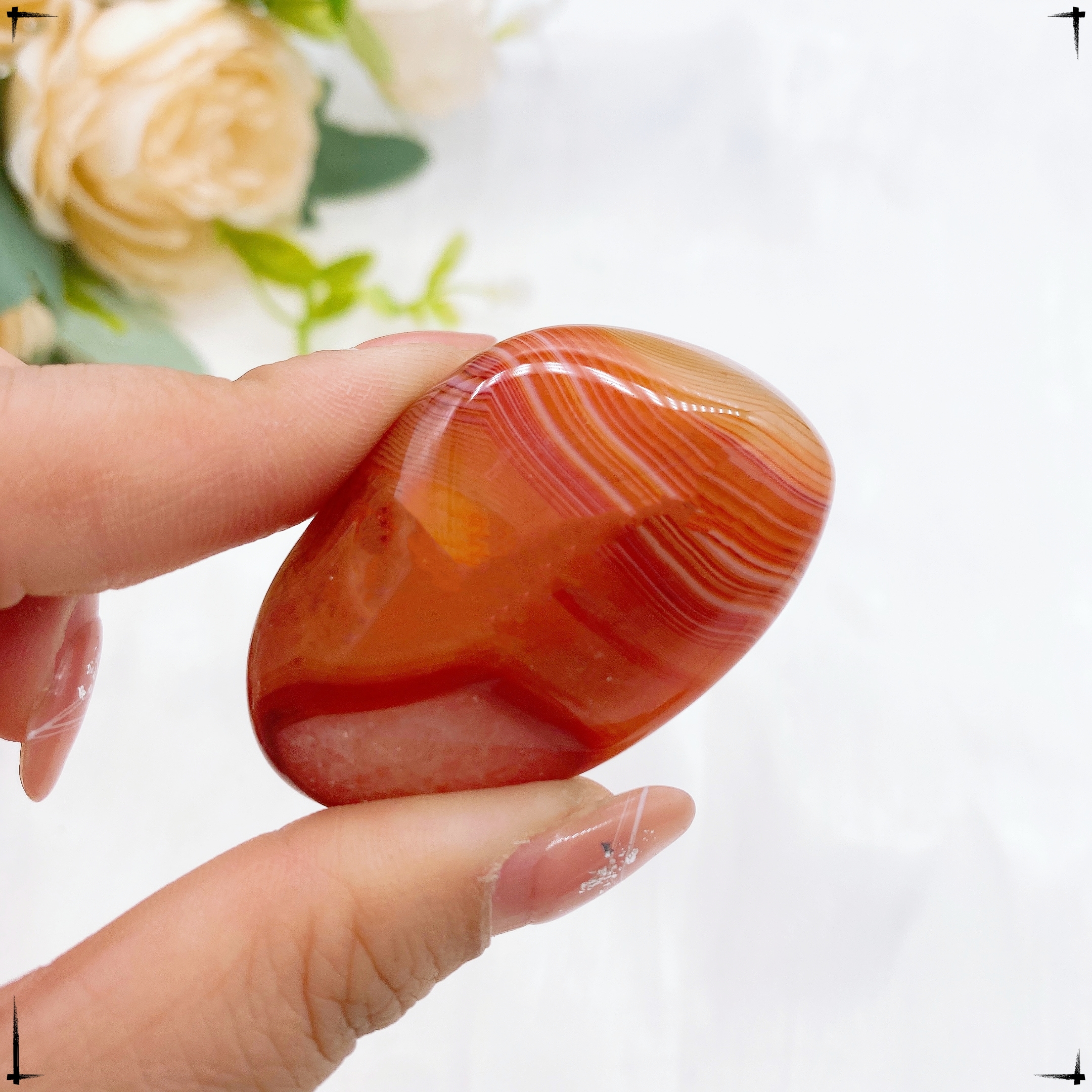 Natural Stones Sardonyx Agate  - Aquarium Marine Stone reseña y precio