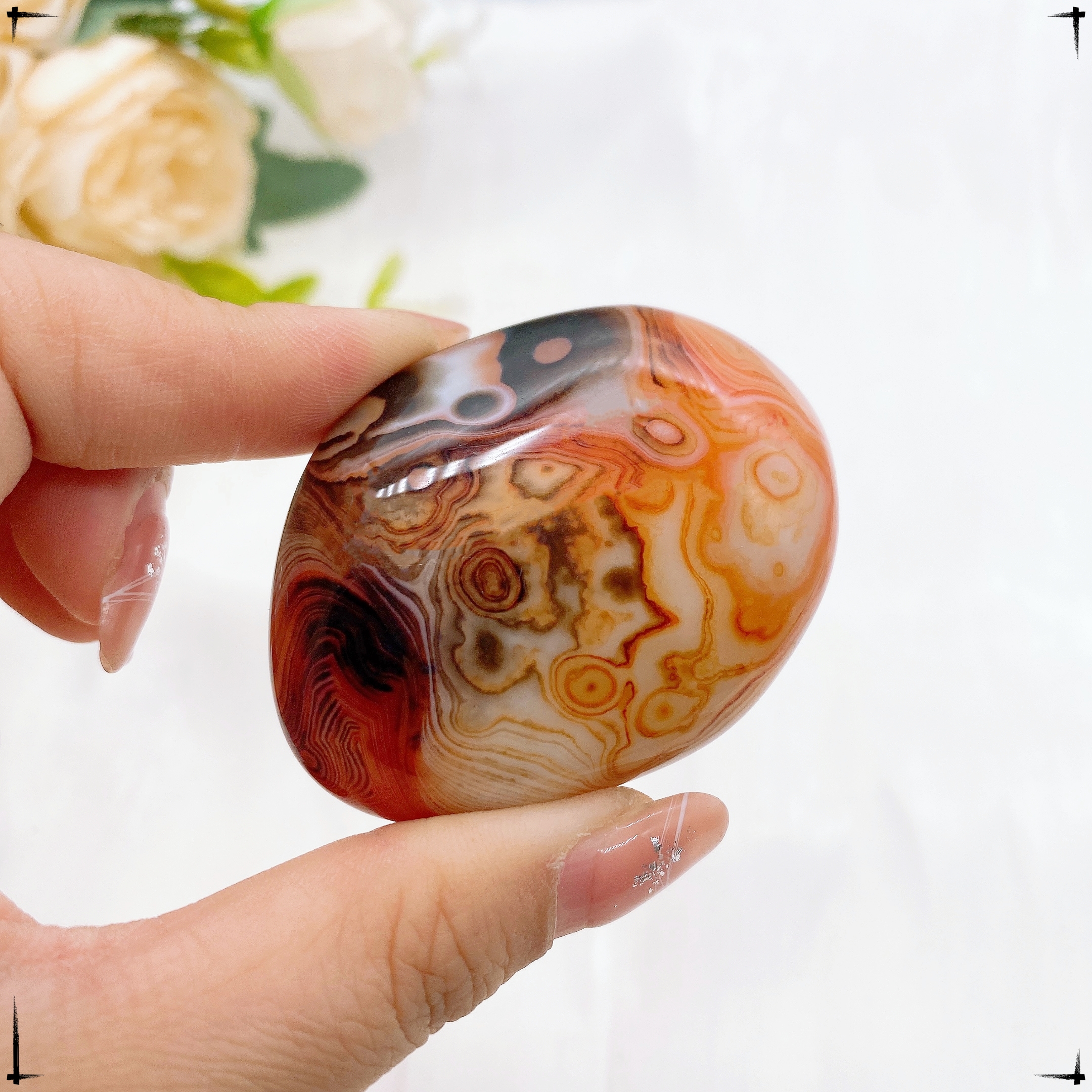 Natural Stones Sardonyx Agate  - Aquarium Marine Stone reseña y precio