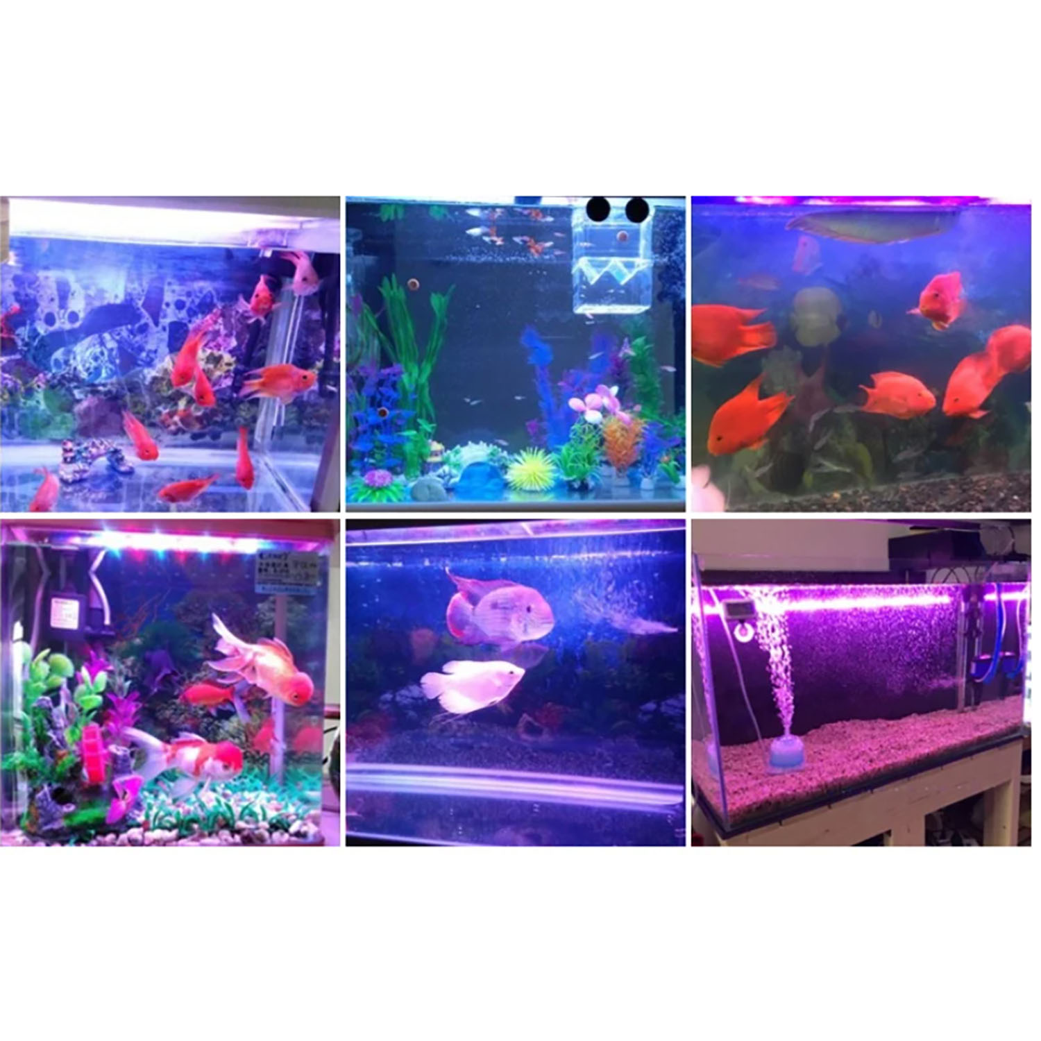 50W 60W 70W 100W RGB 26-28V Hi - Marine Aquarium Uv Light reseña y precio