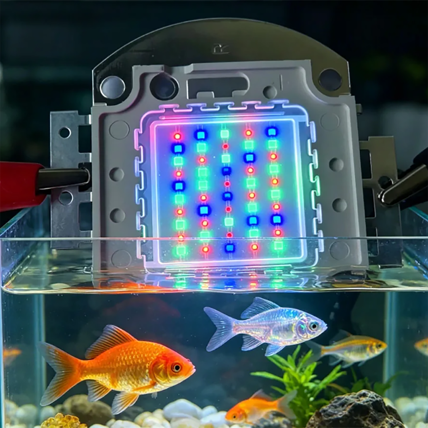 50W 60W 70W 100W RGB 26-28V Hi - Marine Aquarium Uv Light reseña y precio