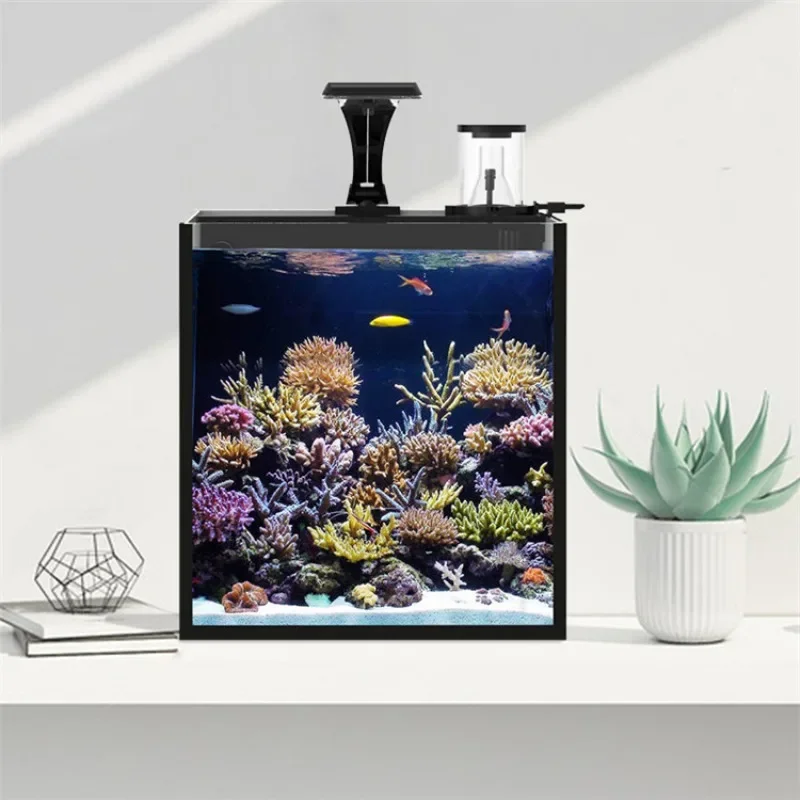 Hot sales Ultra Clear Glass Mi - Marine Aquarium Tank For Sale reseña y precio