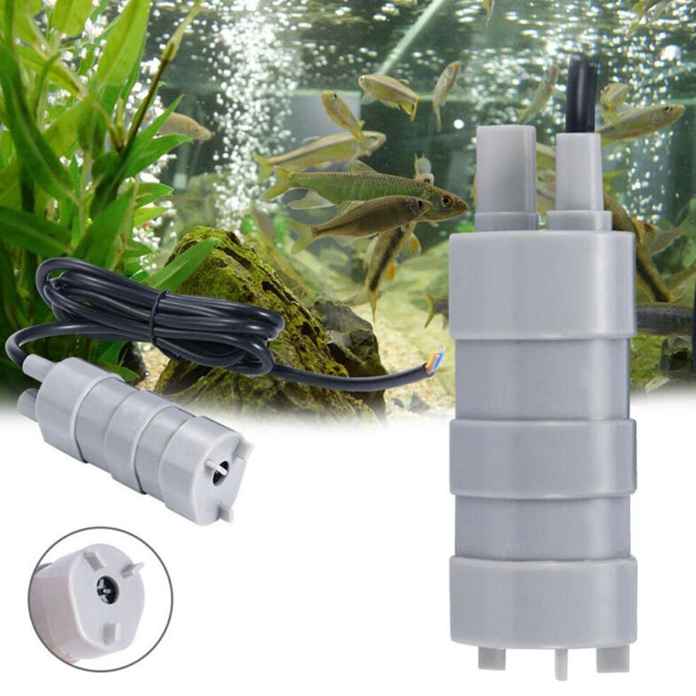 RV 12V Submersible Pump, 1000L - Aquarium & Marine Museum Ums reseña y precio