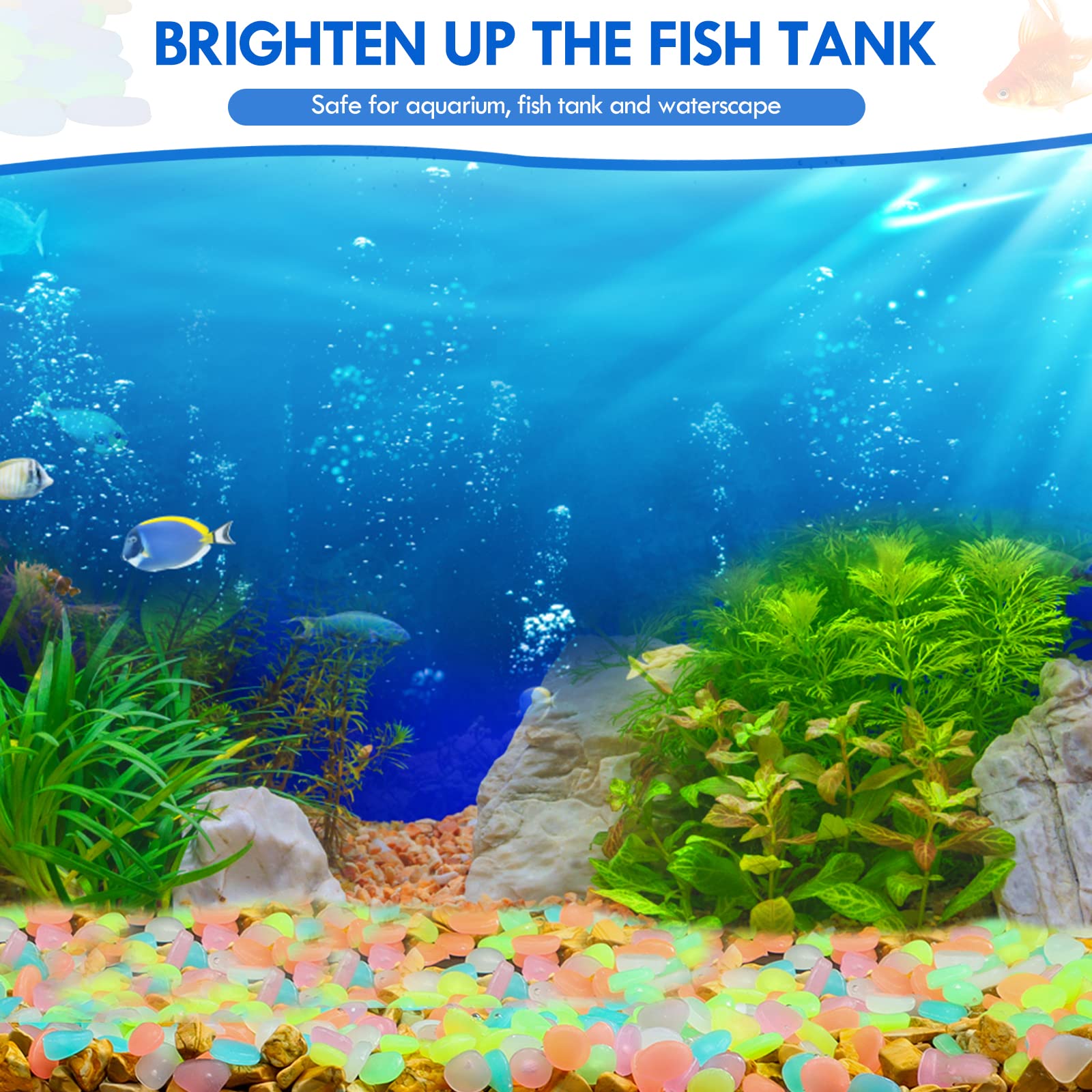 100Pcs Glow in the Dark Garden - Aquarium Marine Stone reseña y precio