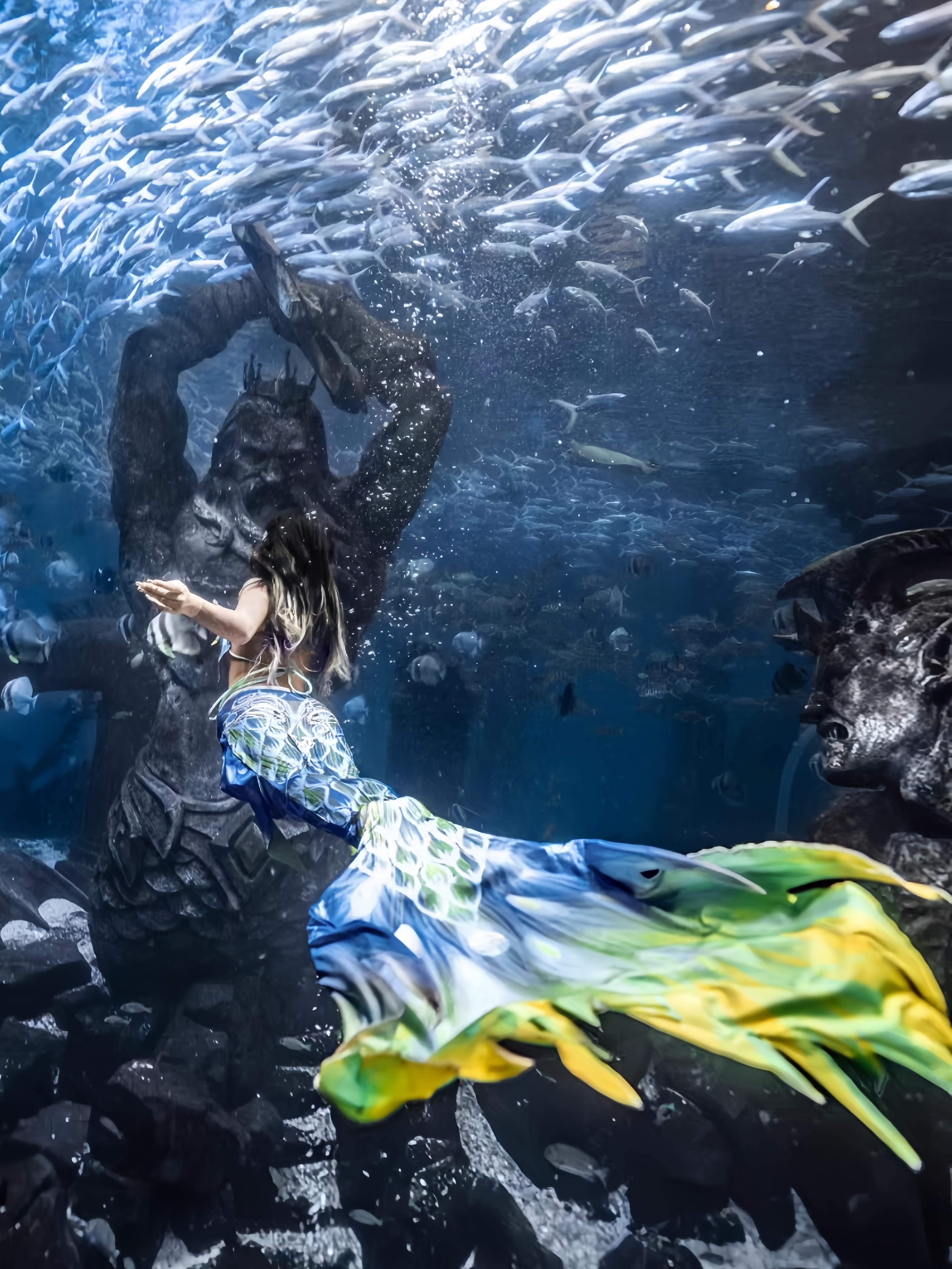 Mermaid Tail Adult Ladies Swim - Aquarium & Marine Museum Ums reseña y precio