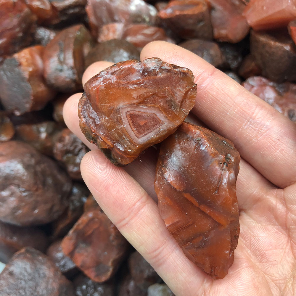 1pc Random Rough Raw Carnelian - Aquarium Marine Stone reseña y precio