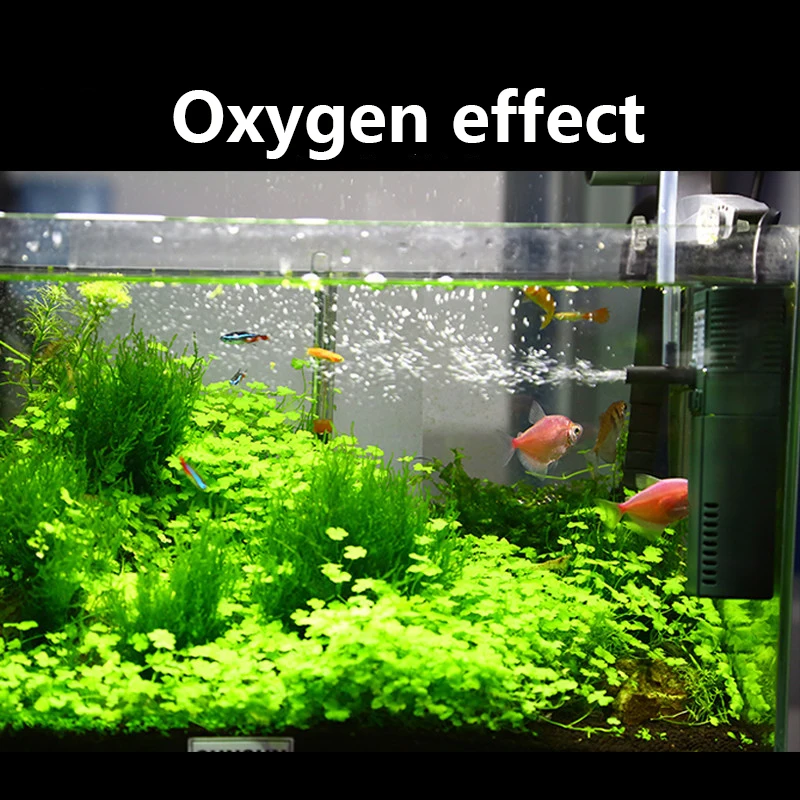 SUNSUN mini nano 111B 311B 611 - Marine Aquarium Uv Light reseña y precio